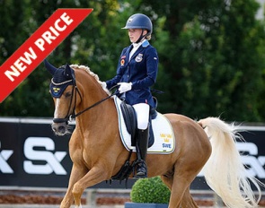 Falco at the 2024 European Pony Championships :: Photo © Astrid Appels