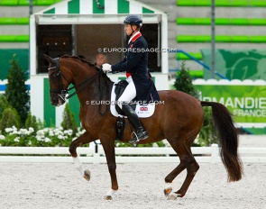 Gareth Hughes and DV Stenkjers Nadonna at the 2014 World Equestrian Games :: Photo © Astrid Appels