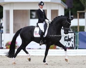 Simone Pearce and Dancier Gold at the 2021 World Young Horse Championships :: Photo © Astrid Appels