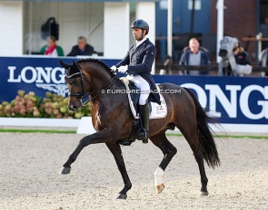 Escamillo at the 2022 World Young Horse Championships in Ermelo :: Photo © Astrid Appels