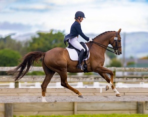 Kallista Field on Felix Westfalia FE (by Franziskus)