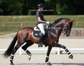Alejandro Asencio and Gaviao dos Cedros at the 2025 CDIO Compiegne :: Photo © Astrid Appels