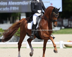 Matthias Rath on Destacado at the 2025 CDIO Compiegne :: Photo © Astrid Appels