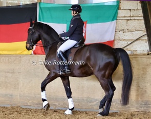 Uta Gräf on Herzenswunsch, who shows obvious talent for the piaffe which will become even better once he gets stronger :: Photos © Silke Rottermann