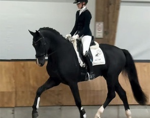 Dominique van Dalsen and Sir Vegas at the saddle presentation for the KWPN spring performance test