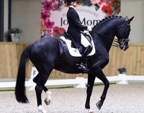 Marieke van der Putten and Jameson in the Intermediaire II at the 2026 CDN Lathum :: Photo © Equigeniek