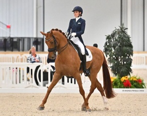Claire Darnell and Harrold S at the 2026 CDI Ocala :: Photo © Andrew Ryback