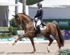 Adrienne Lyle and My Vitality in the Intermediaire II at the 2026 Palm Beach Derby :: Photo © Lily Forado