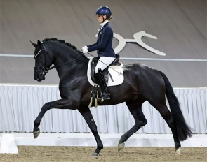 Sina Aringer on Grey Tonic at the Verden suitability test :: Photo courtesy Beckmann