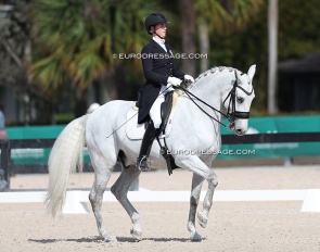 Sophia Schults and Conocido HGF at the 2026 CDN Wellington :: Photo © Astrid Appels