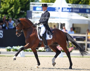 First Ampere at the 2018 World Young Horse Championships :: Photo © Astrid Appels