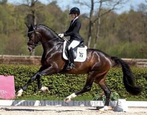 Charlotte Fry and Real Dream at the first Dutch WCYH team selection trial of 2026 :: Photo © Timo Martis