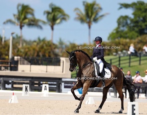 Sarah Daehnert on the fabulous Indiana Jones in the national dressage ring :: Photo © Astrid Appels
