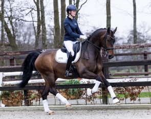 Next Romance (by For Romance x Havel)