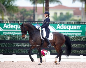 Adrienne Lyle and Wizard at the 2014 CDI Wellington :: Photo © Astrid Appels