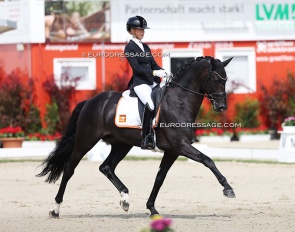 Kirsten Brouwer and Ohio at the 2025 World Young Horse Championships :: Photo © Astrid Appels