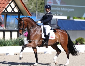 Dannie Morgan and Fever Tree at the 2026 CDI Hagen :: Photo © Astrid Appels