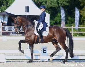 Marieke van der Putten and Zum Gück at the 202" CDN Houten :: Photo © Roland Hitze