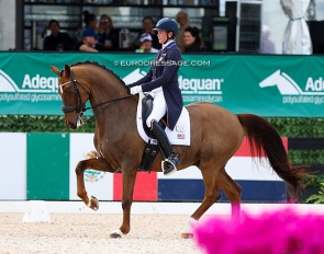 Anna Marek and Fayvel at the 2024 CDI Wellington :: Photo © Astrid Appels