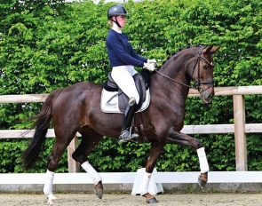Antina G (by La Vie x Don Romantic)