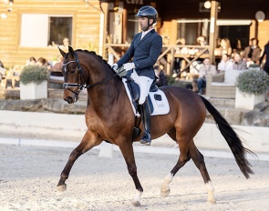 Dentan (by Dancier x Stedinger)