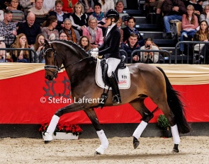 Beatrice Arturi and Havertz in October 2025 at the Trakehner stallion licensing :: Photo © Stefan Lafrentz