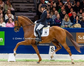 Charlotte Fry and Pjethro at the 2026 KWPN Stallion Competition Finals :: Photo © Dirk Caremans