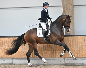Lord Siffredi :: Photo © Wilma