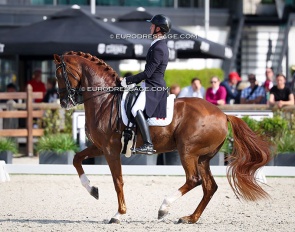Chris von Martels and Londoncrown at the 2026 CDIO Lier :: Photo © Astrid Appels