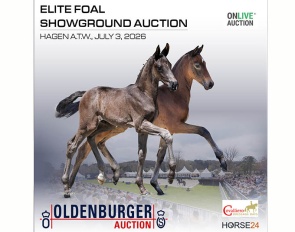Oldenburg Elite Foals Take the Stage in Hagen – Auction on Friday Evening