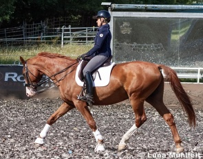 Uta Gräf demonstrating a proper giving of the reins on an S-level horse :: Photo © Luna Mühlfeit