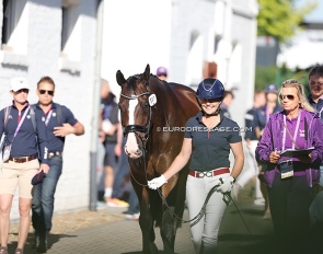 Horses being presented for trot up at the 2026 World Championships Dressage :: Photo © Astrid Appels