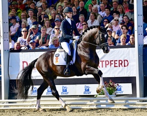 Be My Guest at the 2026 Bundeschampionate :: Photo © Equitaris