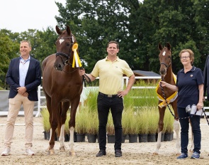 Winner of the Dressage-Oriented Filly Class: Filly by Von Und Zu/For Romance with Johannes Westendarp, Friederike Peters, Jan Crome-Sperling,