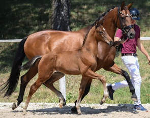 Dream For Life (by Dream Boy x Veneziano) :: Photo © Hubert Fischer