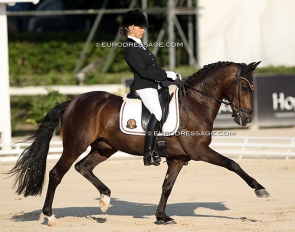 Lavinia Arl and Epiascer at the 2013 European Pony Championships in Arezzo :: Photo © Astrid Appels