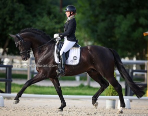 Kristy Kolijn on the 5-year old Lord Diamond at the 2022 CDI Jardy :: Photo © Astrid Appels
