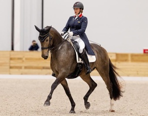 Canadian team rider Denielle Gallagher on the Lusitano bred Come Back de Massa :: Photo © Lily Forado