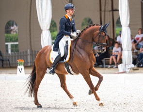 Marten Luiten on Johnnie at the 2026 European Under 25 Championships :: Photo © Lukasz Kowalski