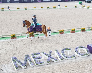 Julio Mendoza and Jewel's Goldstrike win the World Cup Qualifier at the 2026 CDI-W Mexico :: Photo © Lukasz Kowalski