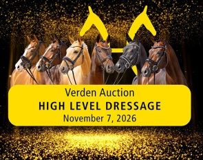 4th Verden "High Level" Dressage Horse Auction on 7 November 2026