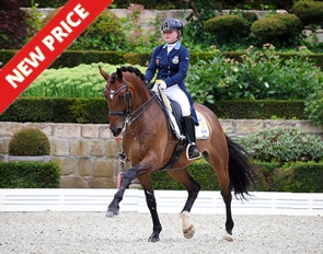 At the European Junior Riders Championships in Kronberg (geR) :: Photo © Astrid Appels