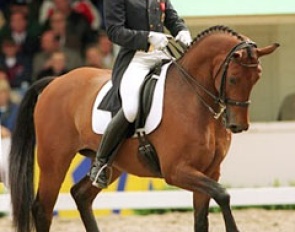 Emile Faurie and Rascher Hopes at the 2000 CDI Arnheim :: Photo © Dirk Caremans