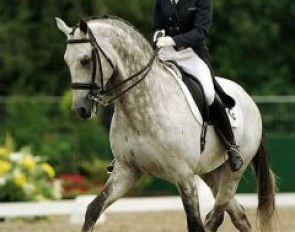 Anky van Grunsven and Junior STV at the 2000 CDI Arnheim :: Photo © Dirk Caremans