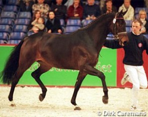 Holly Simensen's Oldenburg mare Donna di Mundi became 2000 European Mare Champion in Brussels. She was presented by Martin Determann
