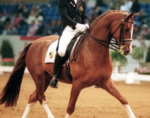 Stefan van Ingelgem and Remy Martin at the 2000 CDI-W 's Hertogenbosch :: Photo © Dirk Caremans