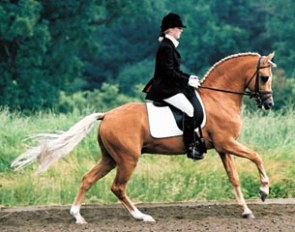 The most publicized photo of Golden Dancer