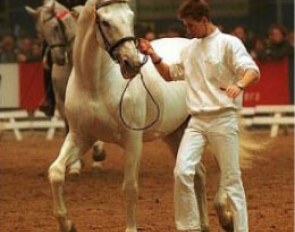 Uniform at the 2000 KWPN Stallion Licensing :: Photo © Dirk Caremans