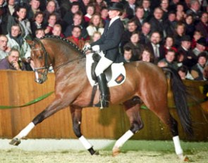 Bettina Schockemöhle riding Pablo as a young horse in Germany :: Photo © Werner Ernst
