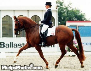 Evi Strasser on Quantum Tyme at the 200 World Young Horse Championships